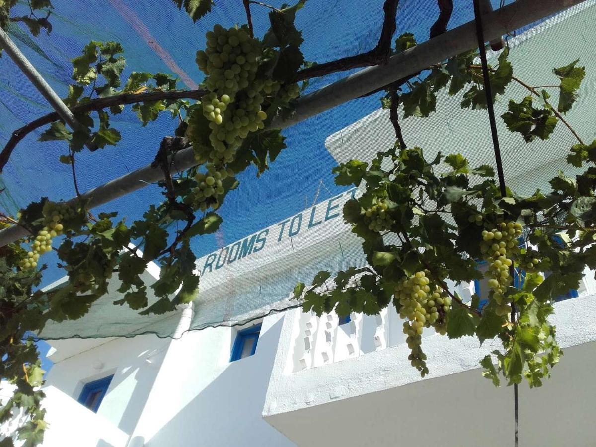 לפקוס קרפתאו Nikos Apartments מראה חיצוני תמונה