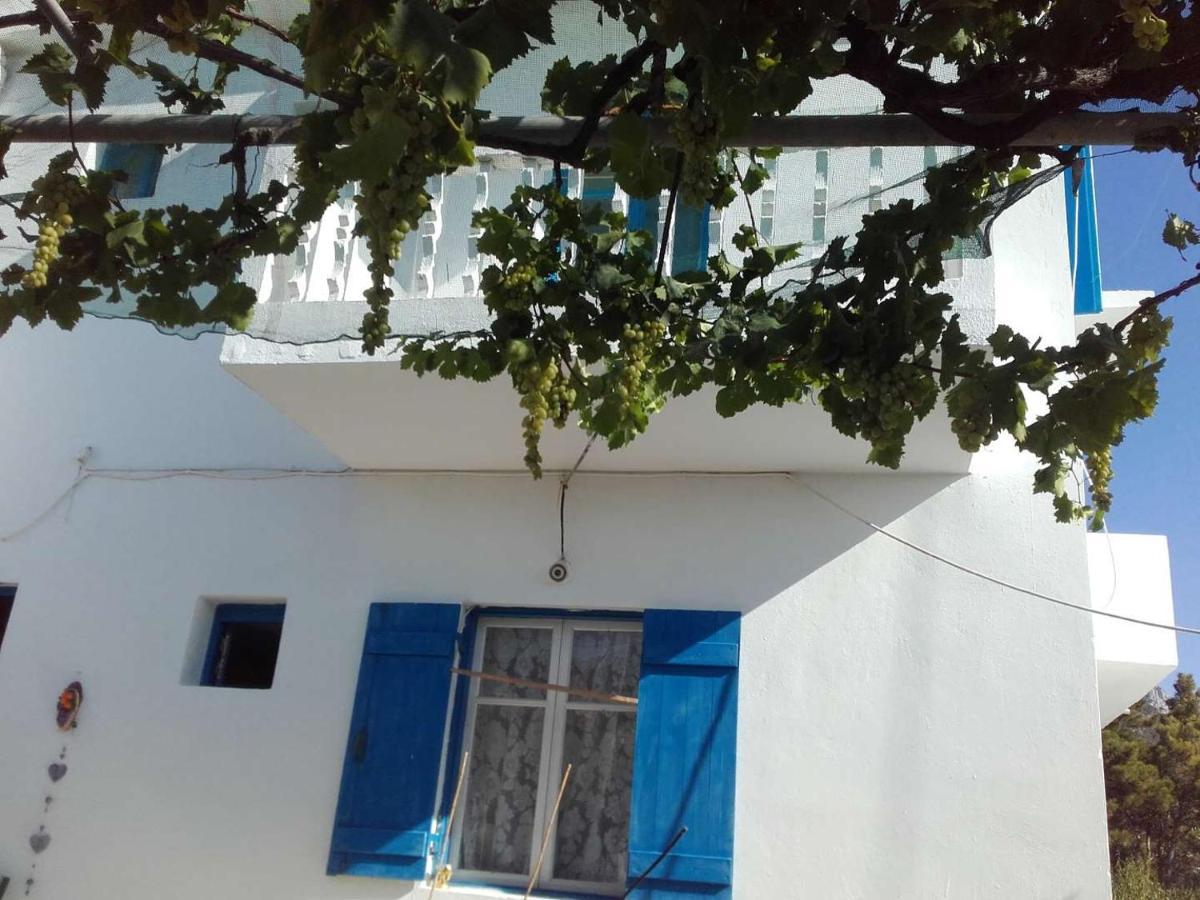 לפקוס קרפתאו Nikos Apartments מראה חיצוני תמונה